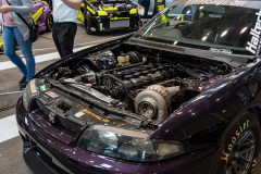 DSC05576